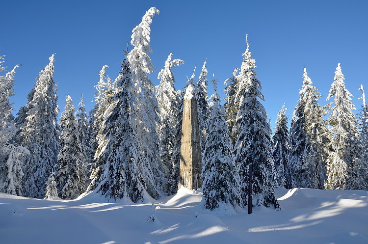 zlaty stol