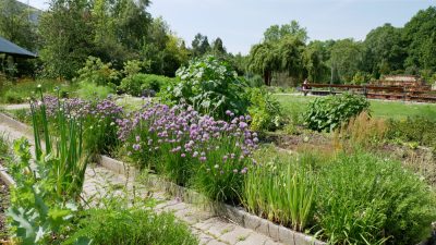 Botanická záhrada UPJŠ má jedinečnú bylinkovú záhradu