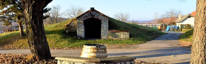 Tokajské vínne pivnice v Malej Tŕni