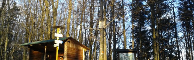 Sedlo Repy - sedlo pod Vysokým vrchom (803 m n.m.)