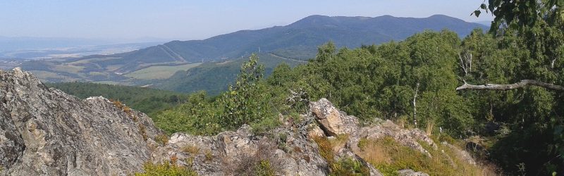 [foogallery id="71954"]