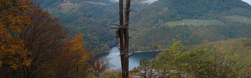 Drienková skala (550 m n.m.)