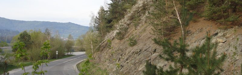 Prírodná pamiatka Margecianska línia