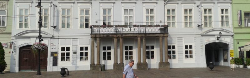 Čákiho-Dezőfiho palác – Csáky-Dessewfyho palác