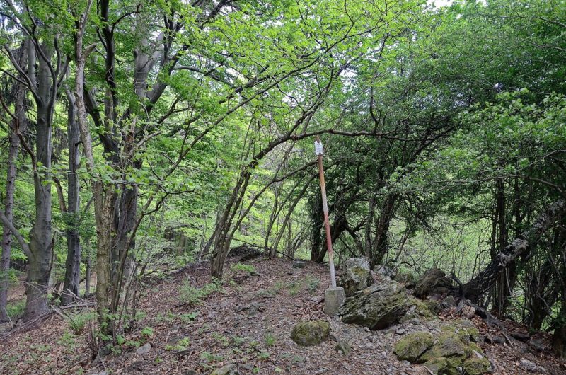 Holička (727 m n. m.)