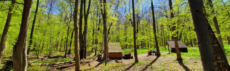 Kráľová studňa (700 m n.m.)