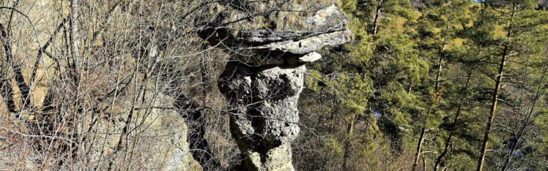 NPP Markušovské steny a Markušovský skalný hríb
