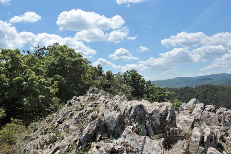 Vrch Sivec (781 m n.m.), fotograf: Marcinčin Jozef