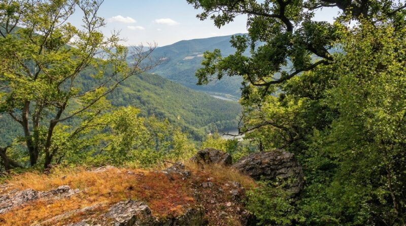 Skala Mokoš - vyhliadka pod Bujanovom (610-640 m n.m.)