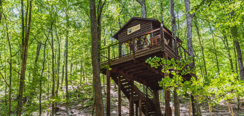 Lesodom vo Vyšnom Medzeve