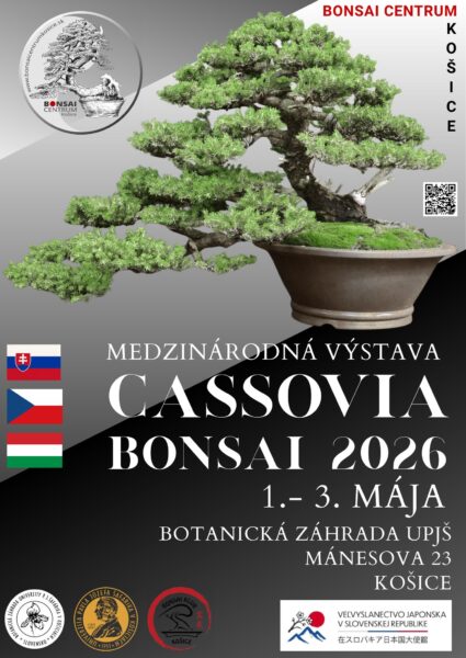 Botanická záhrada UPJŠ: CASSOVIA BONSAI 2026