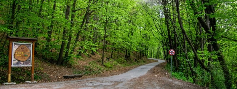 Lesnícky náučný chodník – Stará bankovská cesta Lesnícky náučný chodník – Stará bankovská cesta