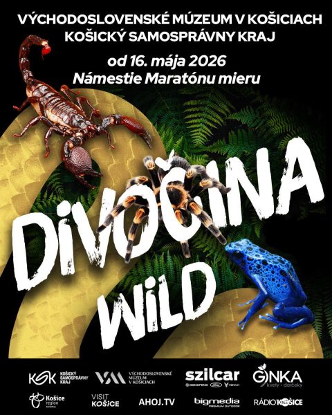 Východoslovenské múzeum v Košiciach: DIVOČINA