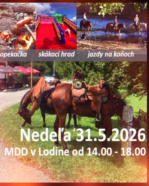 Centrum Lodina