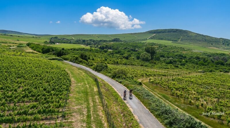 Vinohradnícka oblasť Tokaj