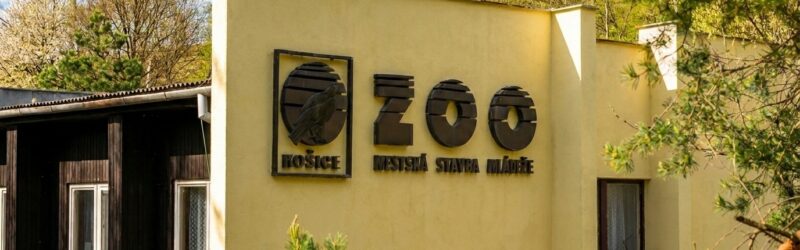 Zoologická záhrada Košice