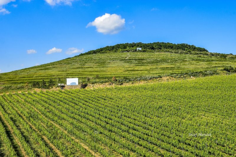 Glamping Domik Tokaj