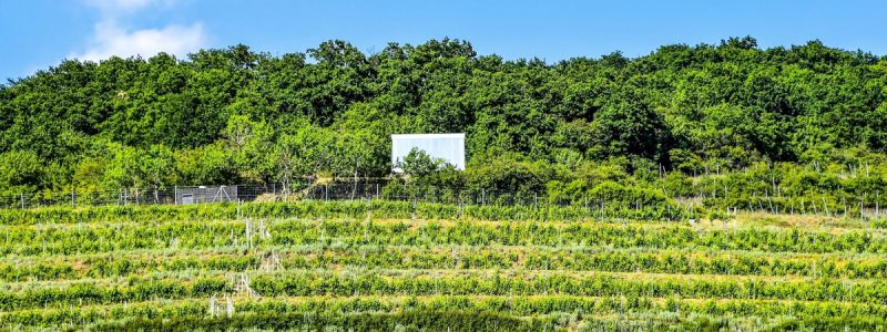 Glamping Domik Tokaj