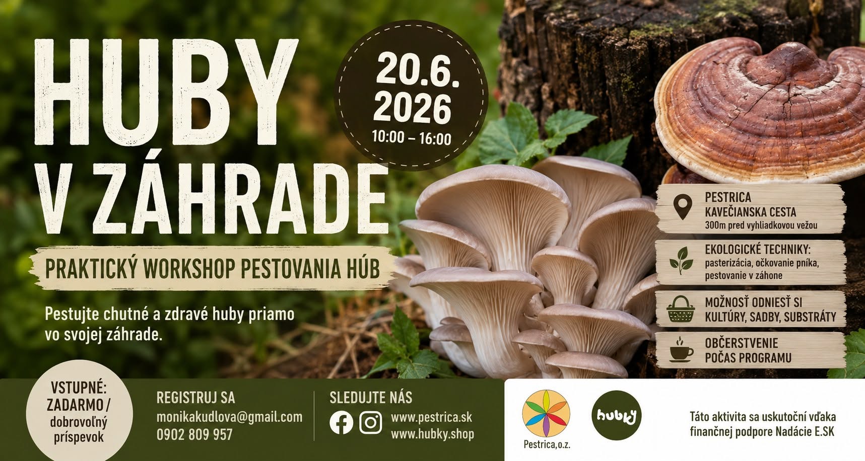 Workshop Huby v záhrade