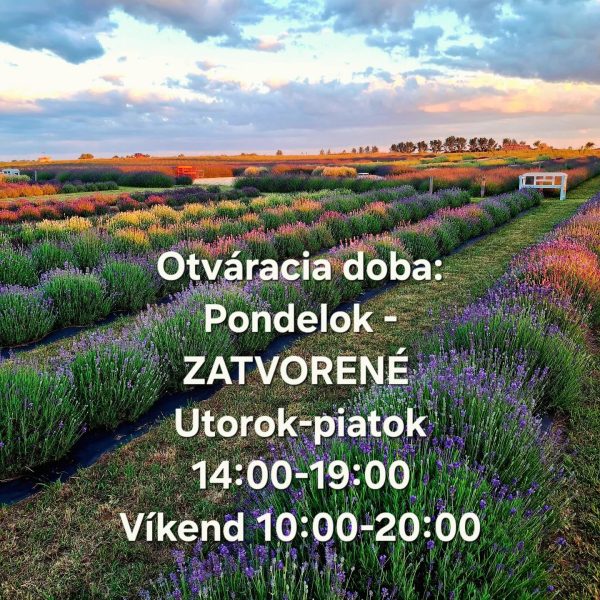 Levanduľové Kráľovstvo