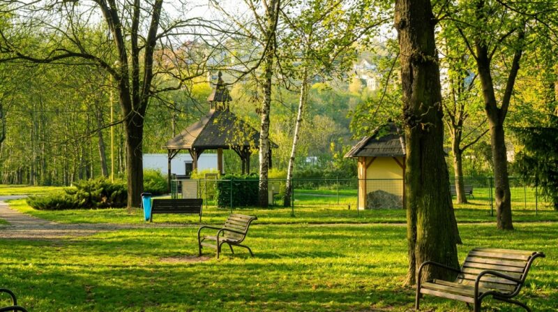 Areál Anička – Minerálny prameň Anička (Gajdovka)