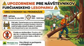 Mestské lesy Košice