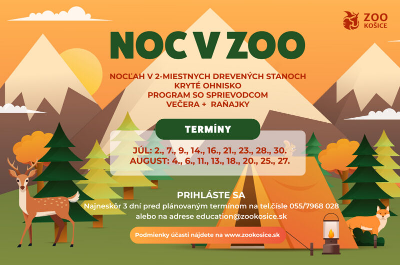 Noc v ZOO
