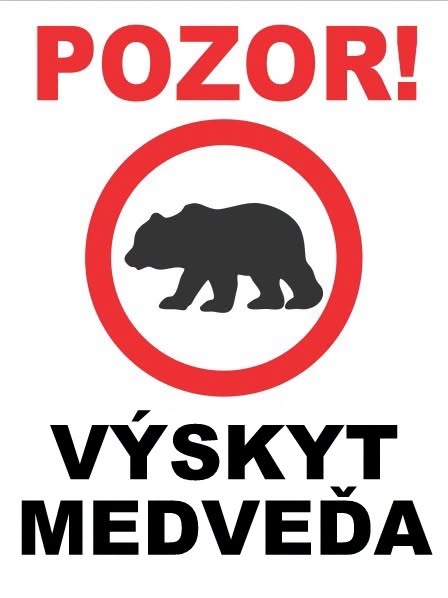 Medveď v Smolníku: Čo musíte vedieť o pozorovaní medveďa hnedého v lokalite Kotlinec?
