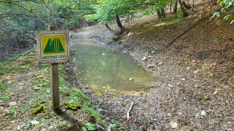 Mestské lesy Košice a.s.