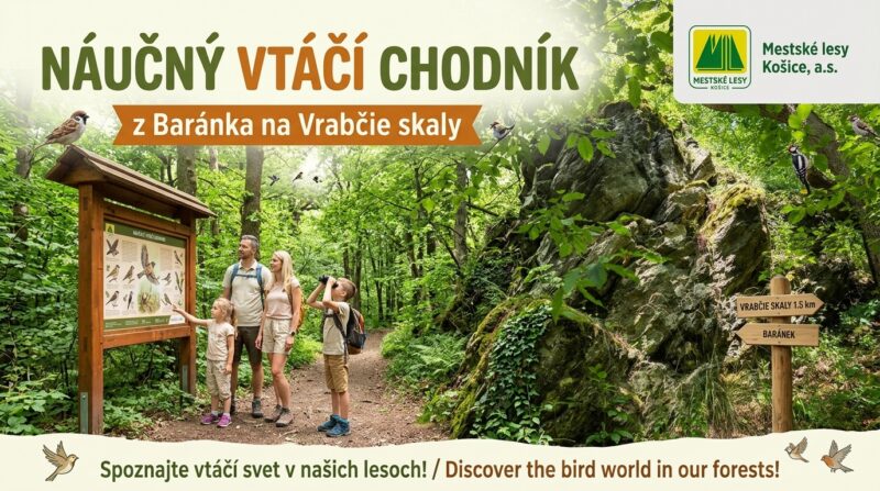 Mestské lesy Košice a.s.