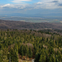 Holý vrch (1054 m n.n.) – Tisícka Holý vrch (1054 m n.n.) – Tisícka