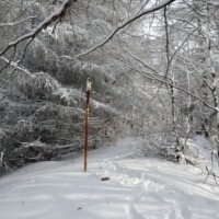 Vrch Bradlo (840 m n.m.) a Skala pod Bradlom (790 m n.m.) Vrch Bradlo (840 m n.m.) a Skala pod Bradlom (790 m n.m.)