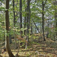 Šľuchta (781 m n.m.) a jeho vyhliadky Šľuchta (781 m n.m.) a jeho vyhliadky