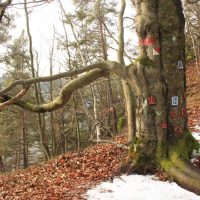 Rozprávkový chodník škriatka Mikluša, fotograf: Marcinčin Jozef Rozprávkový chodník škriatka Mikluša