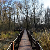 Náučný chodník v obci Oborín Náučný chodník v obci Oborín