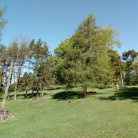 Vrch Prielohy (788,4 m.n.m.) a Lúka na Prielohách (Velesová hora) Vrch Prielohy (788,4 m.n.m.) a Lúka na Prielohách (Velesová hora)
