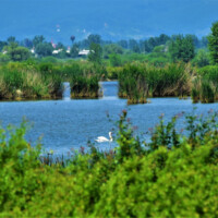 Senianske rybníky Senianske rybníky