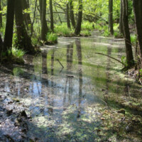 Jazero Malá Izra Jazero Malá Izra