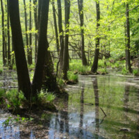 Jazero Malá Izra Jazero Malá Izra