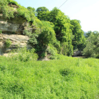 PP Farská skala v obci Chrasť nad Hornádom PP Farská skala v obci Chrasť nad Hornádom