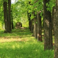 Gelnický hrad – zrúcanina Gelnický hrad – zrúcanina