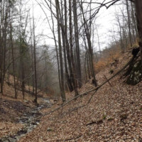 Kamenná dolina Kamenná dolina