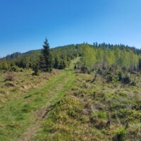 Hekerová (1260 m n.m.) - sedlo po malou Hekerovou Hekerová (1260 m n.m.)