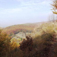 Skárošská vyhliadka (795 m n.m.) Skárošská vyhliadka (795 m n.m.)