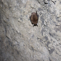 Tereziánska štôlňa pri obci Smolník Tereziánska štôlňa pri obci Smolník