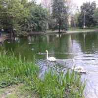 Barčiansky park, Fotograf: Jozef Mareček (https://www.facebook.com/jozef.marecek.94) Barčiansky park