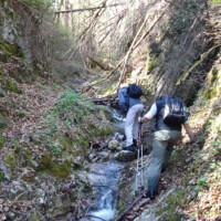 Bielovodská dolina Bielovodská dolina