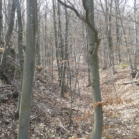 Hrad BUKOVEC – zrúcanina Hrad BUKOVEC – zrúcanina