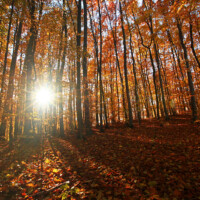 Dargovský priesmyk (474 m n. m.)