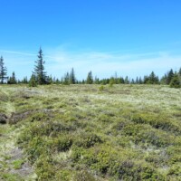 Hekerová (1260 m n.m.) Hekerová (1260 m n.m.)
